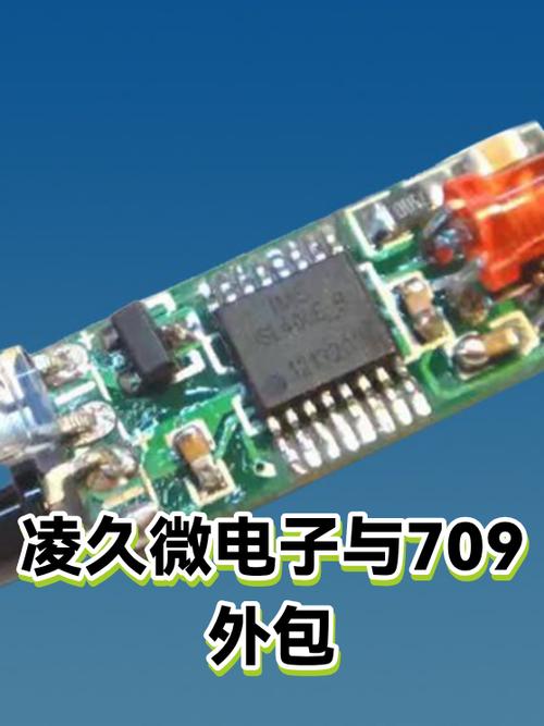 凌久微电子与709所软件外包合作探析