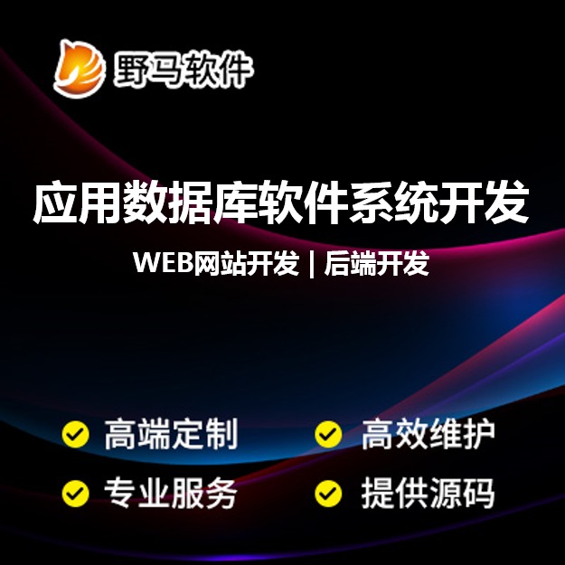 应用数据库软件外包 策略、实践与未来趋势